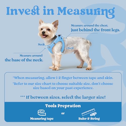 rabbitgoo Small Dog Harness, Step-in Soft Mesh Puppy Vest with Safety Buckle, Breathable Reflective Pet Harness for Extra Small Dogs, Blue XXXS - color: Blue, size: Xxxs(chest:10.8"-11.8")