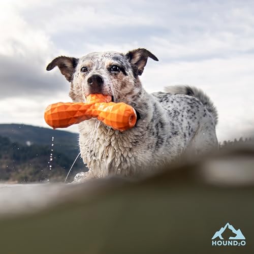 Dog Toys | Squeaky Boomerang Floating Outdoor Toy for Dogs, Value 3-Pack | Bright Color Dog Fetch Toys with Squeaker