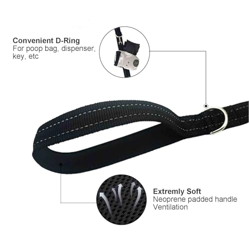 Dual Padded Handle Standard Dog Leashes with Reflective Stitching,360° Rotatable Heavy Duty Metal Buckle,D-Ring,Durable Nylon,for Medium Sized Dogs from 20 to 60 Pounds Walking and Training Black 5Ft - color: Black, size: 5Ft