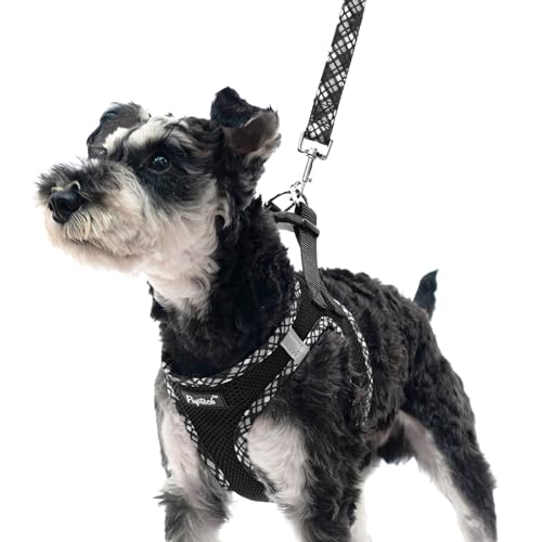 PUPTECK Dog Harness and Leash Set for Small Medium Dogs No Pull Step-in Soft Mesh Puppy Cat Vest Harnesses Reflective at Night, Black L - color: #1 Black(Basic Mesh), size: L(CHEST 18"-20", 16.5-22 lbs)