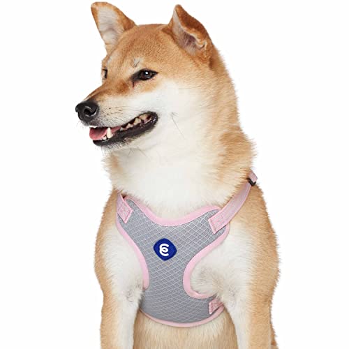 Blueberry Pet Essentials Back to Basics Reflective Dog Harness Vest, Candy Pink, Large, Adjustable Harnesses for Dogs - color: Candy Pink, size: Large (Pack of 1)