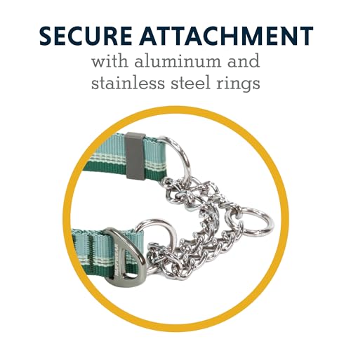 Ruffwear, Chain Reaction Dog Collar, Adjustable Reflective Martingale Escape-Proof Collar with Stainless Steel Chain, Professional Training Control, River Rock Green, 14"-20" - color: River Rock Green, size: 14"-20"