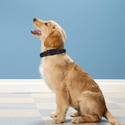 Reflective Dog Collar, Adjustable Soft Neoprene Padded Nylon Pet Collars with Buckle for Puppy and Small Dogs, Cats, Black,XS - color: Black, size: X-Small