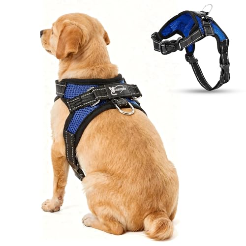 No Pull Reflective Adjustable Dog Harness With Handle- Comfortable Soft All Weather Mesh, Easy On Puppy Harness For Small Medium and Large Dogs (Blue) Small - color: Blue, size: Small