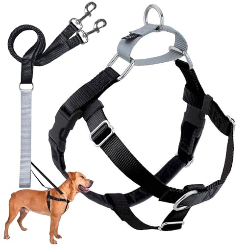 2 Hounds Design Freedom No Pull Dog Harness, Adjustable Harness and Leash Set, Easy Walking & Comfortable Control, Fits Small, Medium & Large Dogs, Solid Colors, Made in USA, 5/8" XS, Black - color: Black, size: XS (Chest 15"- 20")