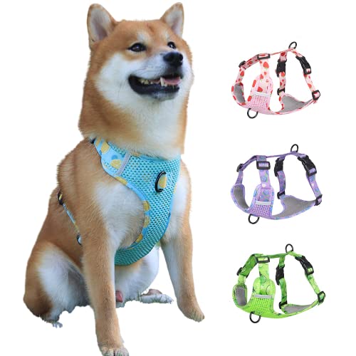 Dog Breathable Harness for Summer, No Pull Adjustable D-Ring Reflective Harness Webbing Walking Harness for Small Meduim Large Dogs(Lake Blue,M) - color: Lake Blue, size: M