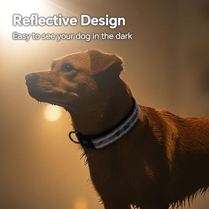 QQPETS Reflective Dog Collar with Soft Neoprene Padded Breathable Nylon Pet Collar Adjustable for Small Medium Large Dogs - color: Paintings, size: S