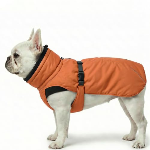Dog Winter Coat, Warm Puffer Jacket with Fur-Safe Buckle & Leash Hole for Cold Weather, Water-Repellent Snow Vest, Breathable Thermal Apparel for Hiking & Active Dogs (Aurantium, X-Small) - color: Aurantium, size: X-Small