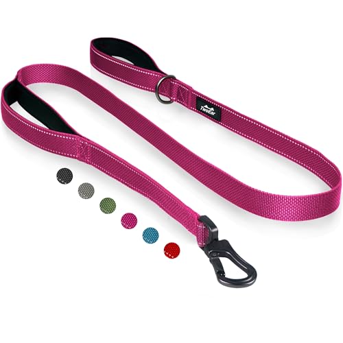 TwoEar 4FT 1IN Strong Rose Dog Leash with 2 Padded Handles, Traffic Handle Extra Control, Comfortable Soft Dual Handle, Auto Lock Hook, Reflective Walking Lead for Small Medium and Large Dogs - color: Rose, size: 1 in x 4 ft