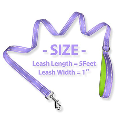 PHOEPET 5 Feet Dog Leash - Dual-Side Reflective - Soft Padded Handle - Fit for Walking, Training or Exploring Hiking, Camping (Baby Purple + Green Base) - color: Baby Purple + Green Base