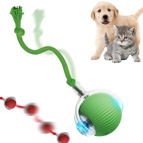 Interactive Cat Toy, 2025 New Cat Toy for Indoor Cats, Intelligent Rolling Ball Toys, Kitten Toys for Bored Indoor Cats/Dogs (Green) - color: Green
