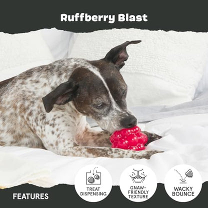 Barkbox Ruffberry Blast Dog Toy for Small Dogs, Treat Dispensing Toy with Wacky Bounce and Perfect for Kibble or Favorite Treats - style: Ruffberry Blast