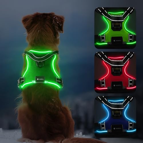 Light Up Dog Harness - LED No Pull Rechargeable Illuminated and Reflective Vest for Night Walking, Adjustable Dog Harness - color: Green, size: M