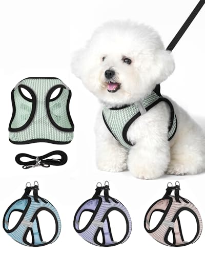 Dog Harness Small Sized and Leash Set, Step in Soft Light Puppy Vest, Breathable Mesh Pet Harness Suitable for Puppies and Kittens. (Light Green, S(Chest:14.17-15.75")) - color: Light Green, size: S(Chest:14.17-15.75")