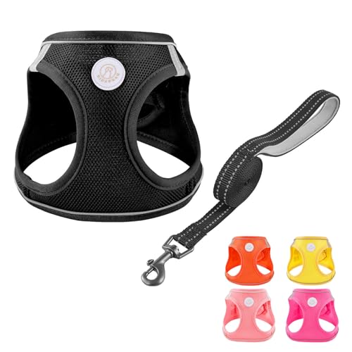 Soft Mesh Dog Harness and Leash Set, No Pull Puppy Harness and Leash Set, Reflective Step in Harness for Small Medium Dogs, Easy Walk Escape Proof Vest Harnesses (Black, XXS) - color: Black, size: XXS
