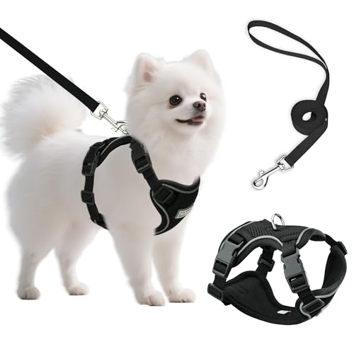 Small Dog Harness and Leash Set, Reflective Soft Breathable Mesh Vest, 3 Buckles, Adjustable Neck and Chest,Step in Dog Harness for Walking, Running, Training, Black, S - color: Black, size: Small