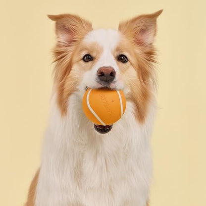 Playology Dog Toys | Squeaky Chew Ball - Bouncy Durable Floating Fetch Ball for Dogs | Jumbo Cheddar Cheese Scented Toy - Easy to Clean and Made from Non Toxic Materials - size: Jumbo, style: Cheddar Cheese