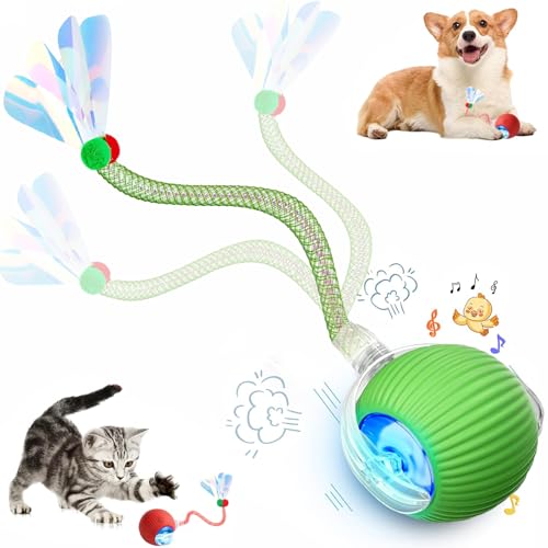 Speed 2.0 Tail Interactive Cat Toys for Indoor Cats, Chirping & Motion Activate Cat Toy, Smart Kitten Rolling Ball Moving Ball Toys, Rechargeable Dog Cat Bal l for Enrichment Exercise (Green) - color: Green