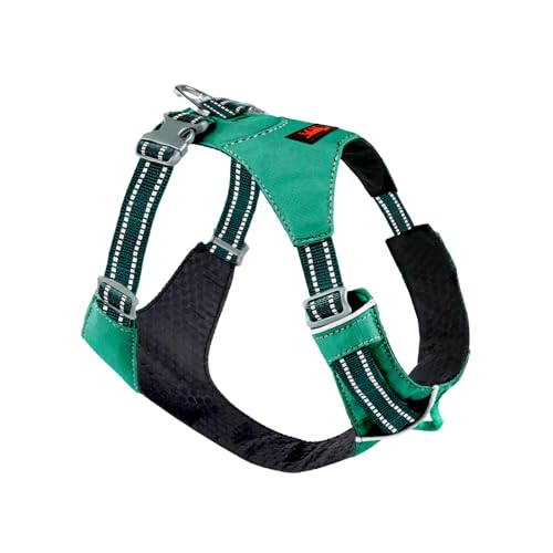 Tuff Pupper All-Day Wear Dog Harness | for Walking, Trail Running, Hiking | Front & Back Leash Clips | Reflective Trim | Easy On/Off Buckles | Lightweight Breathable | No Pull Design (XXS, Teal) - color: Tropical Teal, size: XX-Small