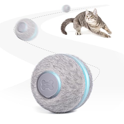 Cheerble Interactive Cat Toys for Indoor Cats, Automatic Cat Ball Toy for Bored Indoor Cats, Electric Kitten Toys with Light, Moving Stimulating Cat Toys,Grey - color: Grey
