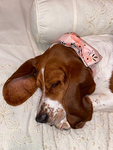 Elegant little tail Dog Collar with Bow, Comfotable Dog Bowtie, Bowtie Dog Collar Adjustable Dog Collars for Small Medium Large Dogs and Cats - color: pink flower, size: X-Small (Pack of 1)