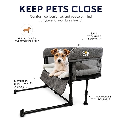 Englacha Close2Me Elevated Pet Bed - Bedside Mattress for Cats and Small Dogs - Comfortable, Cozy Design with Tool-Free Installation - Foldable for Easy Transport, Carry Bag Included