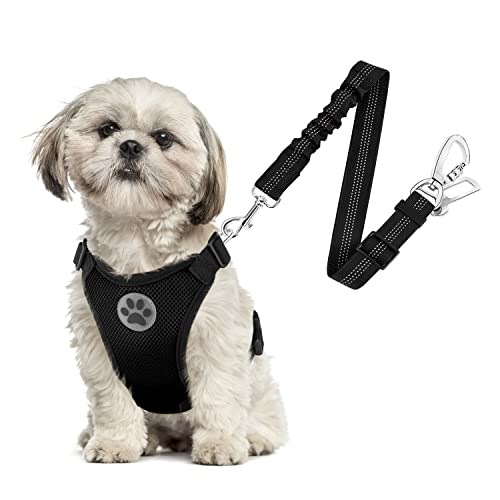 SlowTon Dog Seat Belt Harness for Car, Dog Car Harness Adjustable Mesh Breathable & Dog Seatbelt Safety Tether with Elastic Bungee for Small Medium Large Pets(Black, Double Clip, XS) - color: A-Black, size: X-Small