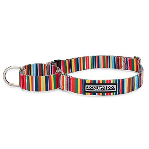 Lucky Love Dog Martingale Dog Collar - Adjustable, No-Slip, Durable, & Soft Webbing Collar for Male and Female Dogs Ideal for Training & Walking - Hippie, Small - color: Hippie, size: Small Collars (10-15")