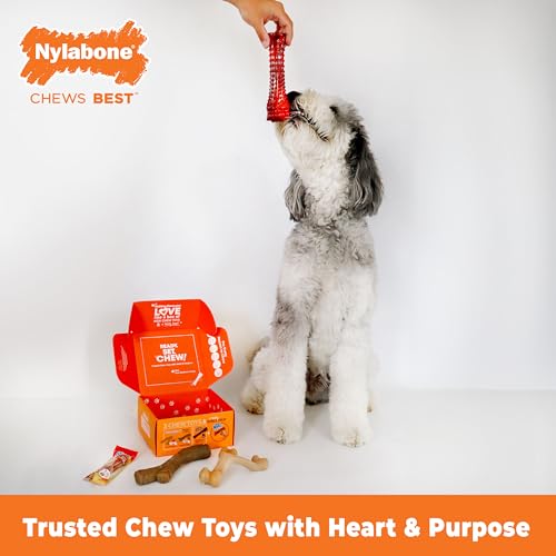 Nylabone Dog Gift Box, Includes 3 Strong Chew Toys and 1 Natural Treat, Gifts for Dogs, Large - Up to 50 lbs, 4 Pack - size: Large (4 Count)