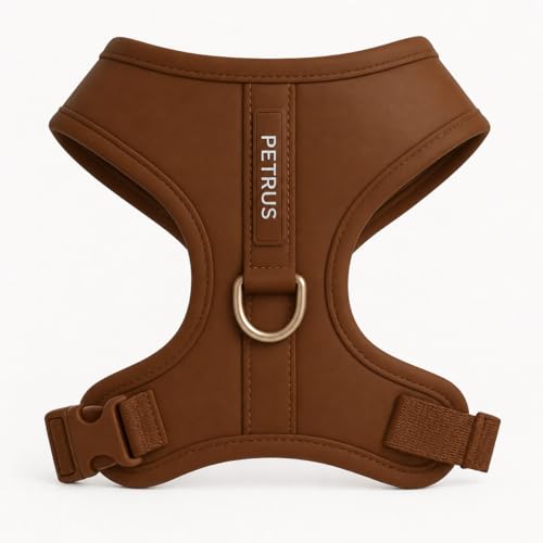 Premium No-Pull Dog Harness Soft Neoprene & Breathable Mesh Vest with Front & Back Clip D-Rings Adjustable Lightweight Walking Harness for Puppies, Small & Medium Dogs (Bronze Brown Gold, XS) - color: Bronze Brown Gold, size: XS: Neck 10.6-14.2'', Chest 1