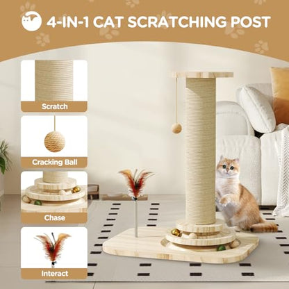 Cat Scratching Post, Small Scratching Post with Vertical Scratcher and Tracking Interactive Ball for Kittens