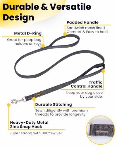 Heavy Duty Leash for Large Dogs that Pull, Two Handle Dog Leash, Three-Layer Sandwich Mesh-Lined Nylon Webbing, Sturdy Metal Zinc Hook, 6FT Long, Large Medium Dogs (Purple/Grey, 1'' X 6ft.) - color: Purple/Grey, size: 1'' X 6ft.