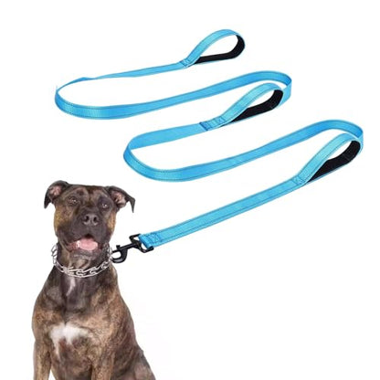 Jiozermi 10ft Dog Leash with 3 Handles, Heavy Duty Dog Lead with Padded Traffic Handle, Reflective Stitching Large Leash for Running Walking Training(Blue) - color: Blue