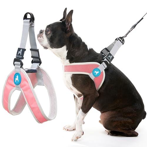 Gooby Simple Step in III Harness - Pink, Large - Small Dog Harness with Scratch Resistant Outer Vest - Soft Inner Mesh Harness for Small, Medium Dogs - color: Pink, size: Large chest (18.5∼23.75")