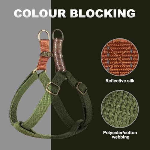 Didog Step in Dog Harness with Metal Buckles, Freedom Nylon Dog Halter Vests for Medium Dogs Easy Walking Training(M:Chest 19-28", Green) - color: Green, size: M: Chest 19-28", Fit 15-30 lbs