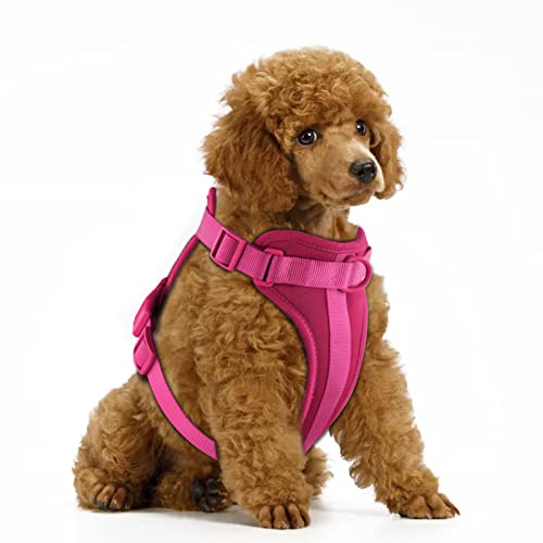 No Pull Lightweight Dog Harness: Adjustable Breathable Pet Vest Harness with Soft & Comfortable Cushion for Small Medium Large Dogs (XS, Peacock Pink) - color: Rose Violet, size: XS:Neck=10"-12"/Chest=13"-16"