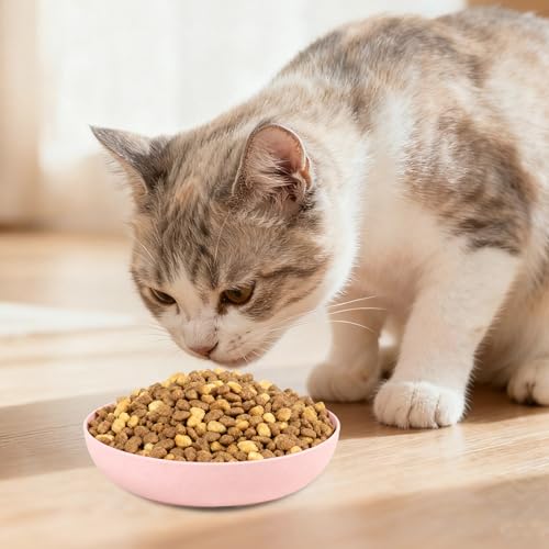 [12 Pack] Cat Dishes Whisker Friendly, Shallow Wide Pet Food and Water Bowl, 5.5 Inch Cat Food Dish, Friendly Wet Feeding Bowl, Durable Wheat Straw Pet Bowls, Pet Plate for Kittens (Indoor/Outdoor) - size: 12 Pack