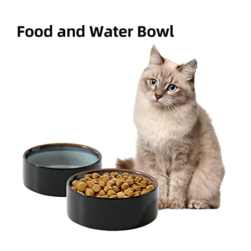 Havniva Cat Bowls Water Bowl Set of Two, 5.1” Ceramic Cat Food and Water Bowl Whisker Friendly Pet Food Bowls for Indoor Cats, Wide Cat Water Dish Prevent Whisker Fatigue Non Slip Cat Feeder - color: 2 x Bowl - Starry Sky