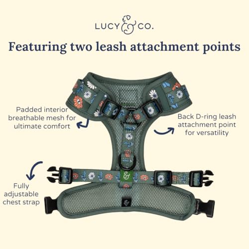 Lucy & Co. x Parks Project Power to the Parks No-Pull Dog Harness, Adjustable Front Clip Harness with Comfort Padding, Small - color: Power to the Parks, size: Small