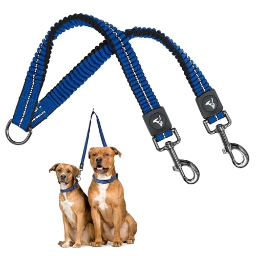 Kruz Double Dog Leash for Two Dogs (Width - 1”, Length 20”-42”) Dual Leash Coupler with Tangle-Free Swivel, Shock-Absorbing Reflective Bungee for Comfortable Walking & Training (Blue, Large) - color: Blue, size: Large: 1" x 20"