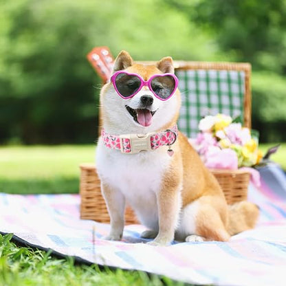 ARING PET Strawberry Dog Collar, Cute Spring Summer Pink Puppy Pet Collars for Small Medium Large Female Girl Dogs-XS - color: Strawberry Pink, size: X-Small