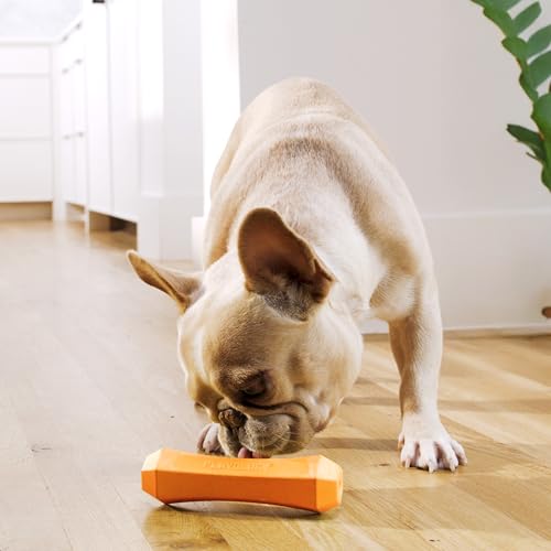 Playology Dog Toys | Squeaky Chew Stick for Dogs | Cheddar Cheese Scented Medium Fetch Toy | Squeaky Dog Chew Toy - size: Medium, style: Cheddar Cheese