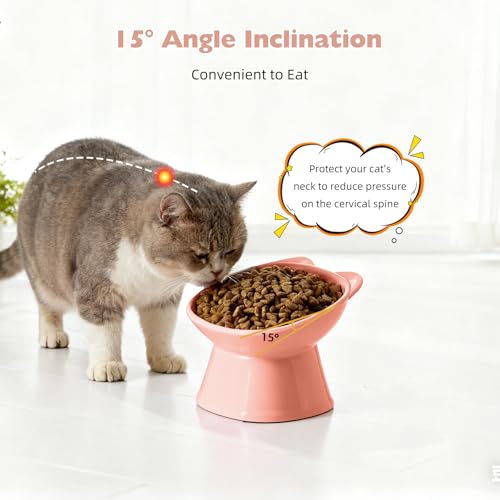 KSIA Klear Elevated Cat Bowls 2 Pack, Tilted Raised Cat Bowl for Food and Water, 4.72" Wide, Whisker Friendly Anti Vomit for Indoor Cats, Microwave and Dishwasher Safe, Pink - color: Pink