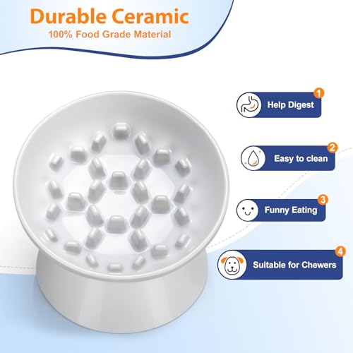 Ceramic Slow Feeder Cat Bowl, 2 Cups Tilted Elevated Cat Slow Feeder Bowl for Dry and Wet Food, Honeycomb Design for Preventing Vomiting & Bloating (White-Honeycomb) - color: White-Honeycomb