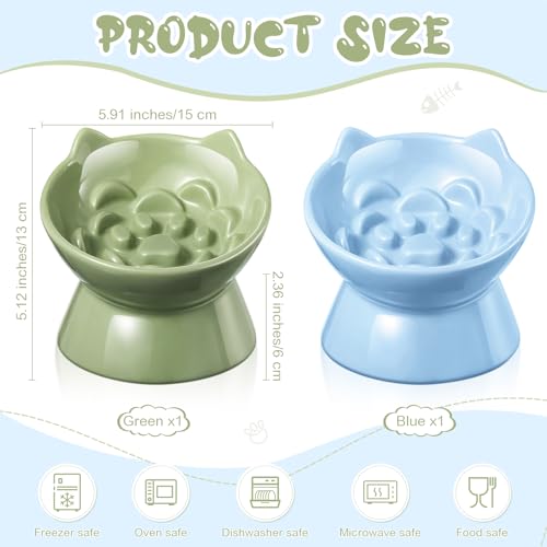 Funnymoom 2 Pcs Ceramic Raised Slow Feeder Cat Bowl, 5.91inch Elevated Cat Slow Feeder Bowl Tilted Anti Vomiting for Dry Wet Food and Water Easy to Clean High Edge(Green, Blue) - color: Green, Blue