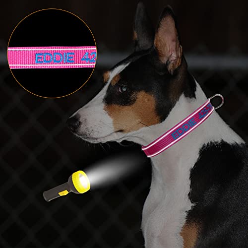 Personalized Dog Collar,Custom Embroidered Dog Collar with Name for XS Small Medium Large XL Large Dogs,Nylon Dog Collar in Purple,Blue,Red,Rose,Cyan for Bog and Girl Dogs - color: B