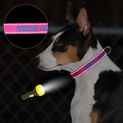 Personalized Dog Collar,Custom Embroidered Dog Collar with Name for XS Small Medium Large XL Large Dogs,Nylon Dog Collar in Purple,Blue,Red,Rose,Cyan for Bog and Girl Dogs - color: B