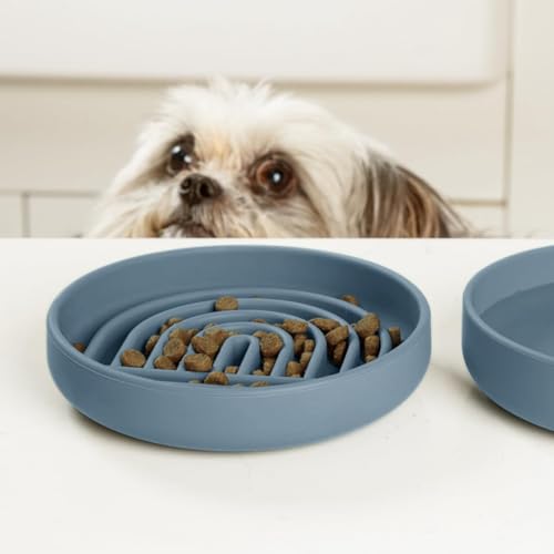 Should We Go? Slow Feeder for Dogs & Cats, The Slowdown Bowl Silicone Slow Eating Mealtime Solution with Modern Lick Mat Design, Reduces Gulping, Fits 1 Cup, 6” Across x 1.25” Tall, Small-Ocean - color: Ocean - Rainbow Design, size: Small (6” Across x 1.2