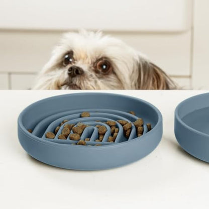 Should We Go? Slow Feeder for Dogs & Cats, The Slowdown Bowl Silicone Slow Eating Mealtime Solution with Modern Lick Mat Design, Reduces Gulping, Fits 1 Cup, 6” Across x 1.25” Tall, Small-Ocean - color: Ocean - Rainbow Design, size: Small (6” Across x 1.2