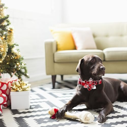 Dog Collar, Christmas Plaid Pet Collars with Flower Holiday Girl Boy Puppy Collar Adjustable Pet Collar for X-Small Dogs - color: Red Plaid, size: X-Small (Pack of 1)